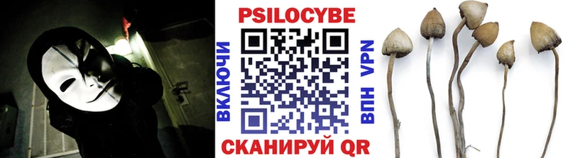 blacksprut онион Кола Псилоцибиновые грибы GOLDEN TEACHER наркошоп
